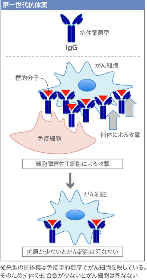 第一世代抗体薬