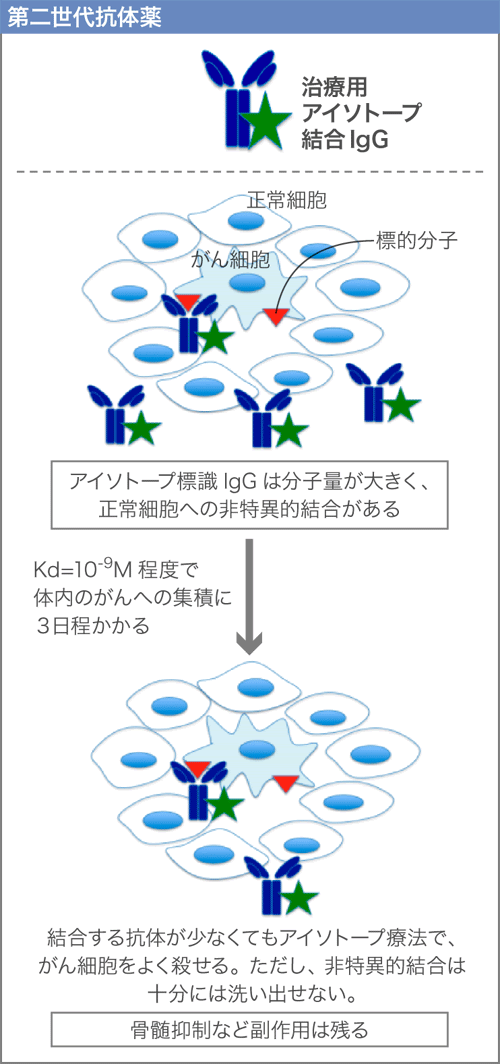 第二世代抗体薬