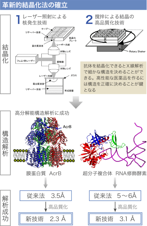 革新的結晶化法の確立