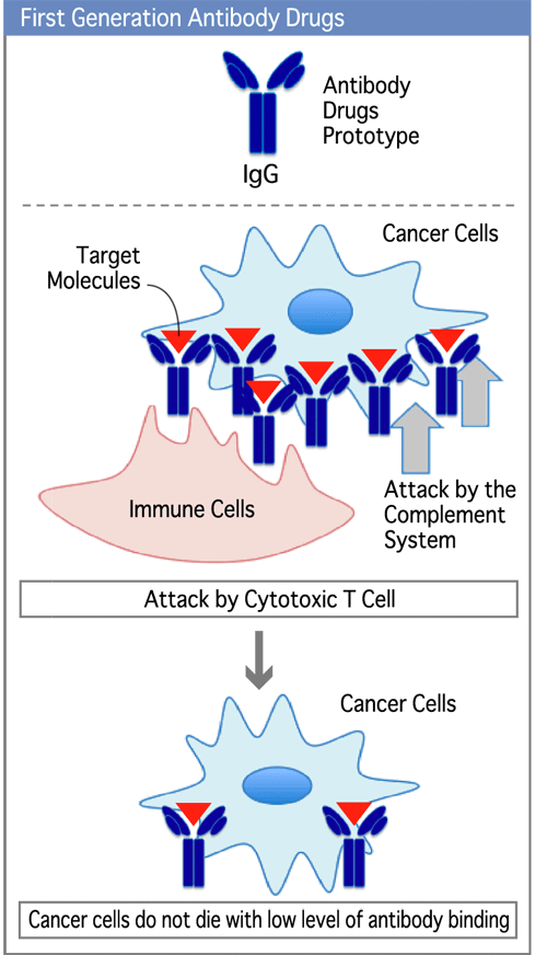 Diagram 4